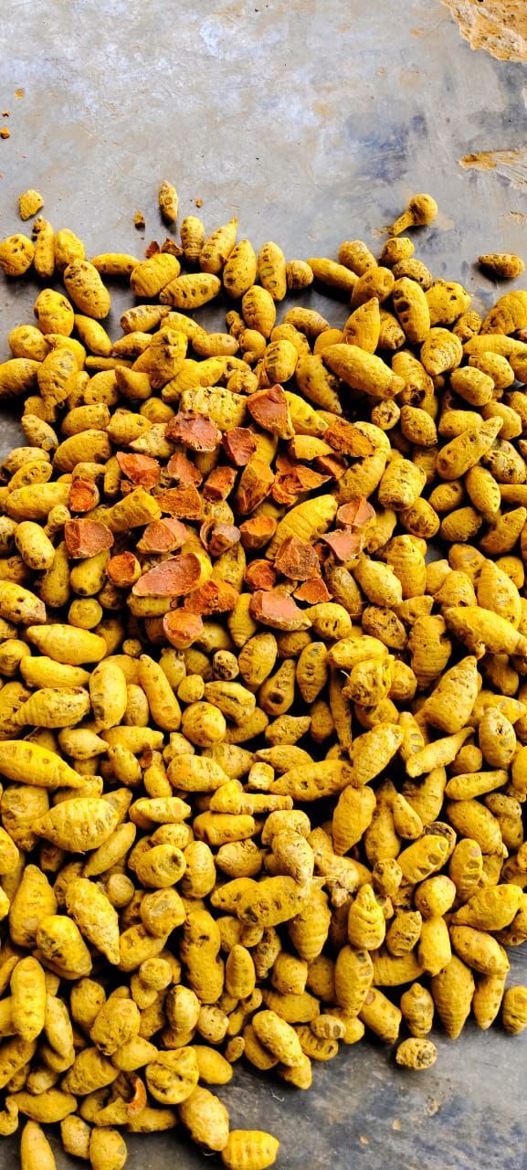 Gatha Turmeric
